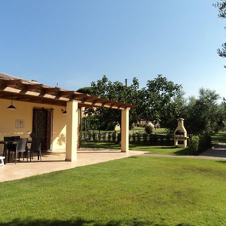 Agriturismo Dallolivo 博尔格哈略 外观 照片