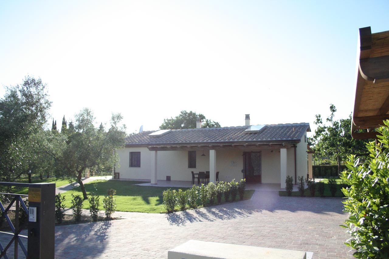 Agriturismo Dallolivo 博尔格哈略 外观 照片
