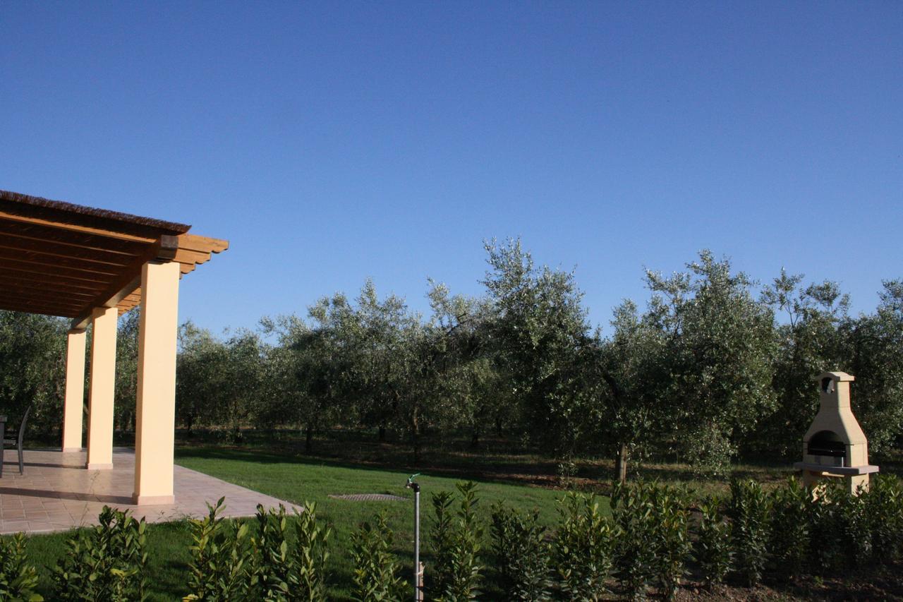 Agriturismo Dallolivo 博尔格哈略 外观 照片