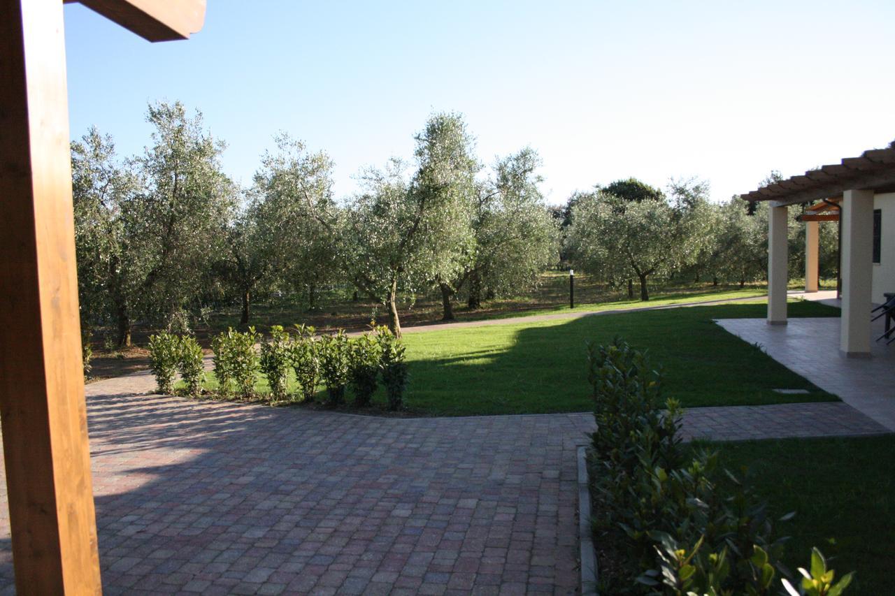 Agriturismo Dallolivo 博尔格哈略 外观 照片