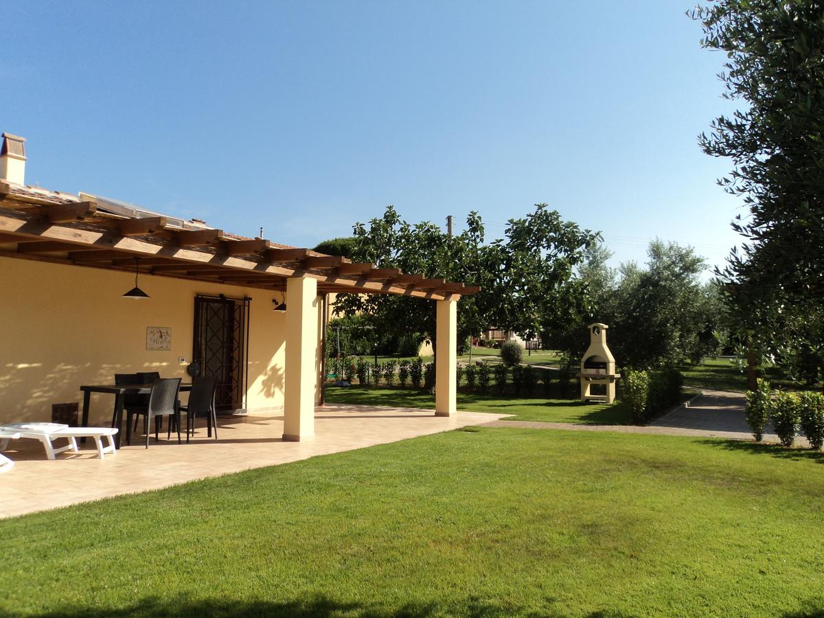 Agriturismo Dallolivo 博尔格哈略 外观 照片
