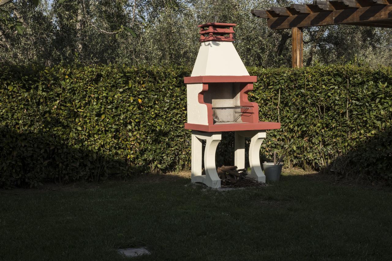 Agriturismo Dallolivo 博尔格哈略 外观 照片